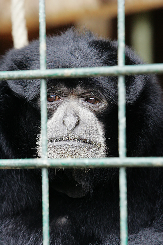 Willkommen im Zoo