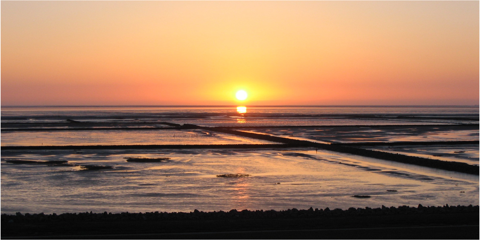 Willkommen in Büsum VI