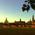 Willkommen in Dresden