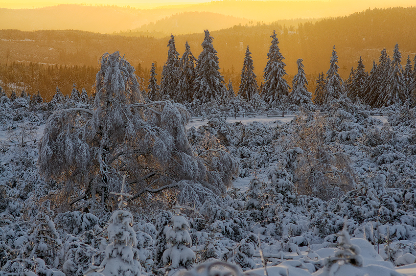 Willkommen Nationalpark Schwarzwald