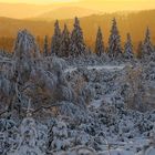 Willkommen Nationalpark Schwarzwald