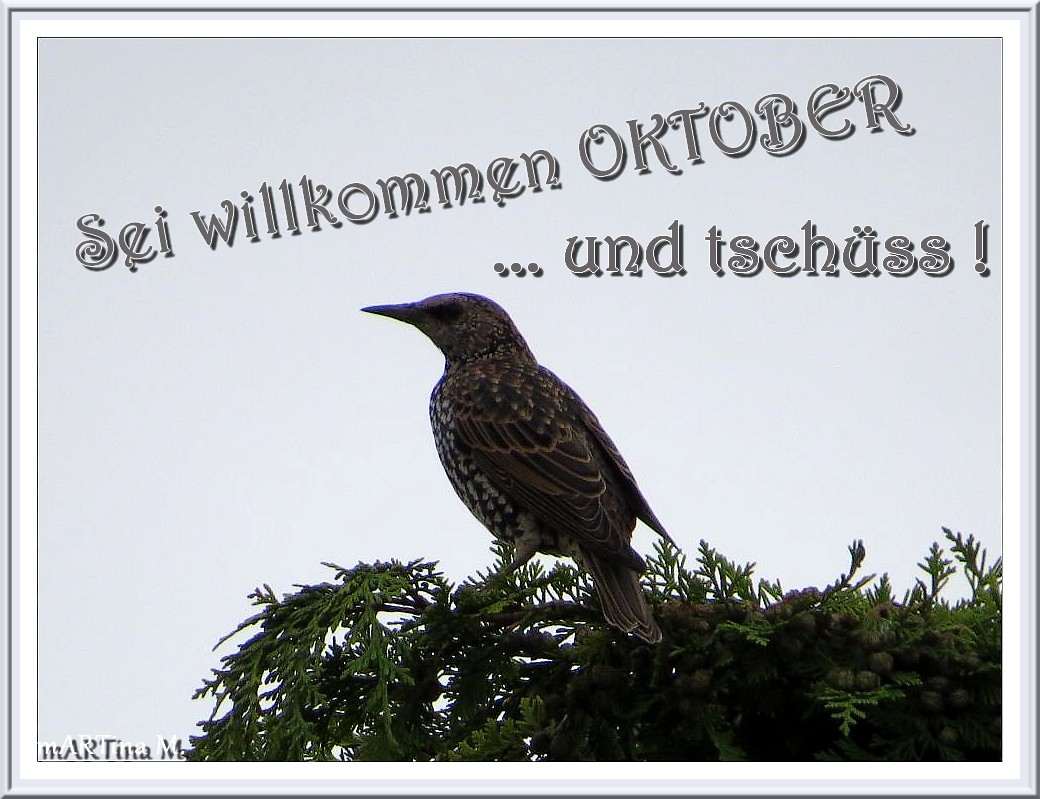 Willkommen Oktober  (mit Gedicht)