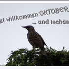 Willkommen Oktober  (mit Gedicht)