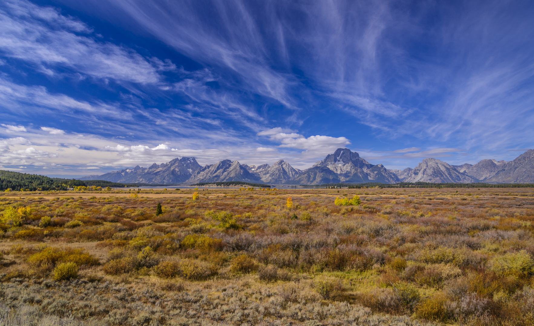 Willow Flats gegen Teton Range, Wyoming, USA Foto & Bild natur