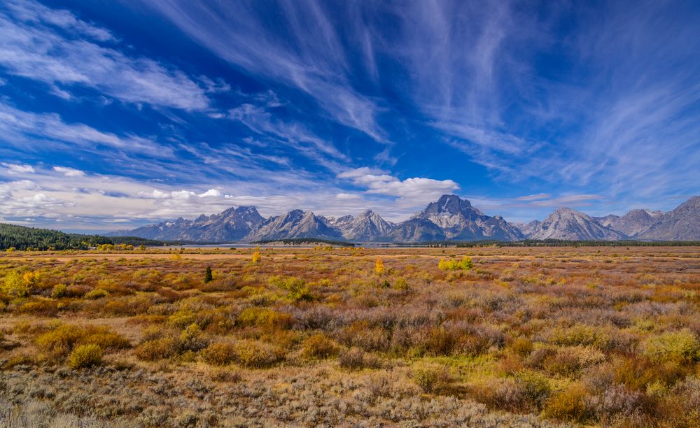 Willow Flats gegen Teton Range, Wyoming, USA