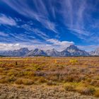 Willow Flats gegen Teton Range, Wyoming, USA