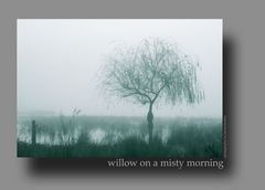 Willow on a misty morning - colour