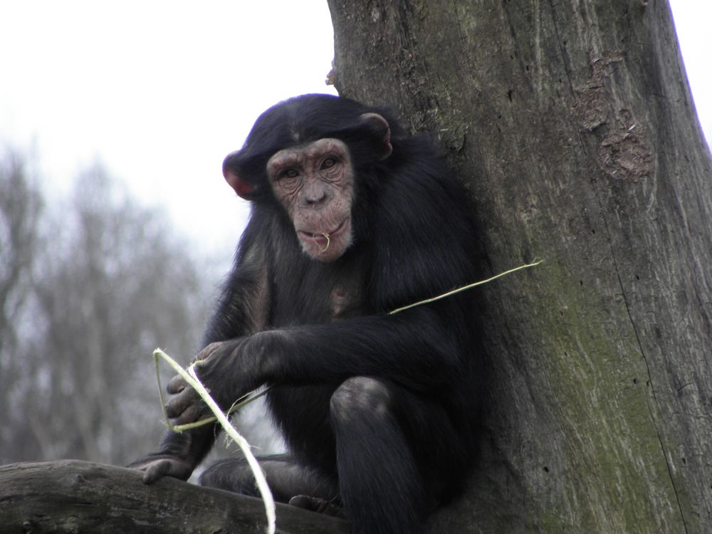 Willst auch was hab´n? by Isabella Glockzin 