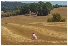 Willst Du denn nicht in den Schatten... ? - Fotografie als Leidenschaft...