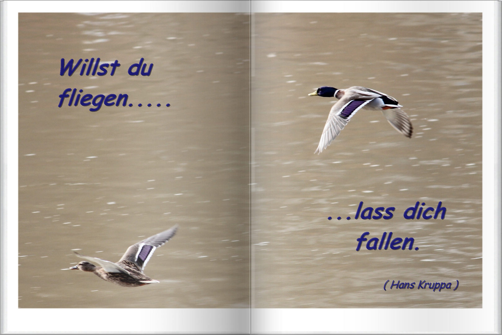 willst du fliegen....