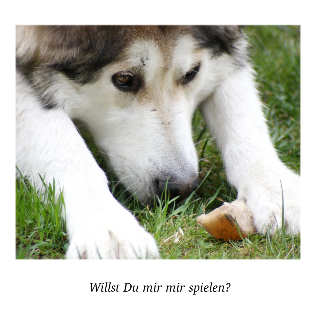 "willst Du lmit mir spielen?"