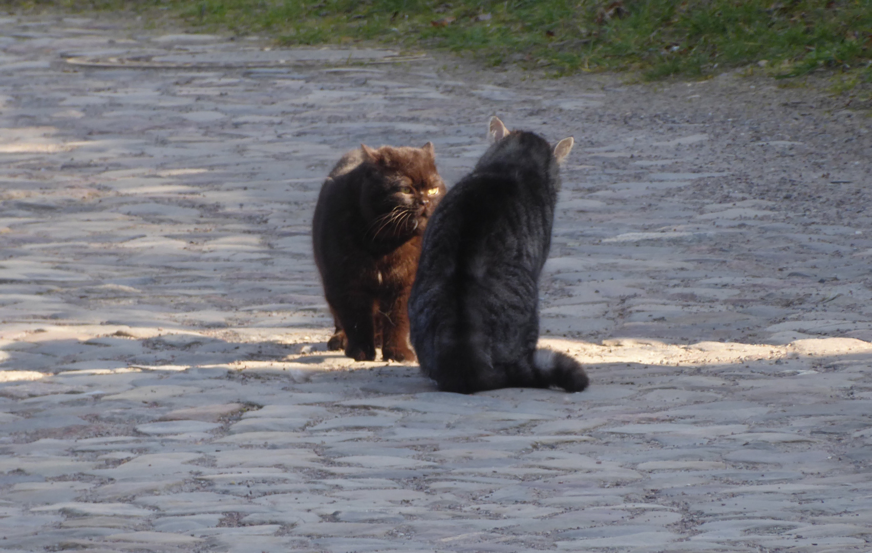 Willst Du mein Freund sein?