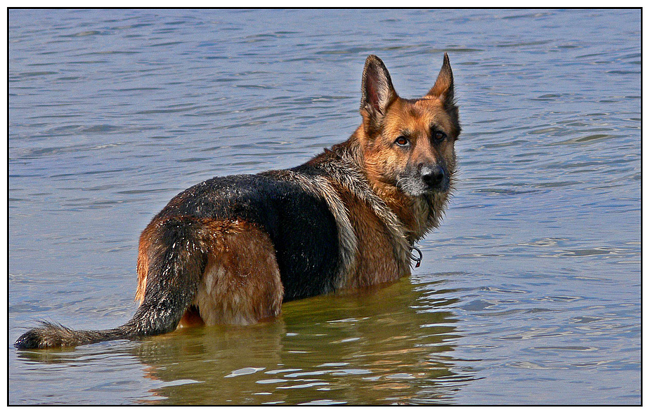 Willst du mit mir baden gehen?