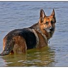 Willst du mit mir baden gehen?