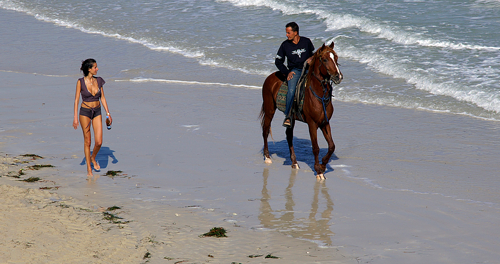 Willst du reiten?