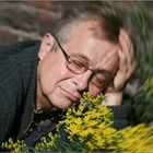 User Profile Photo