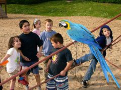 Willy spricht zu den Kindern