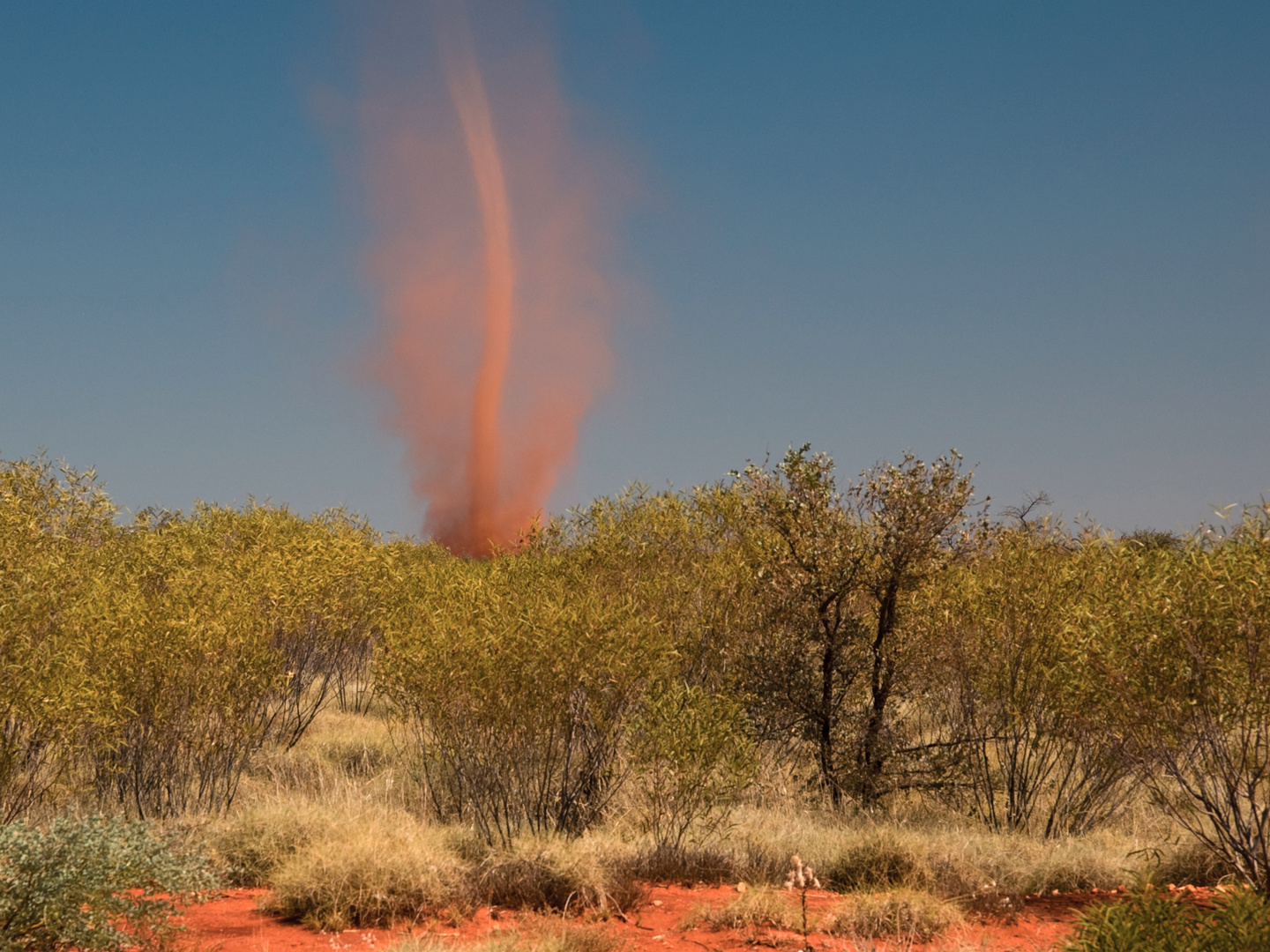 Willy-Willy Foto & Bild | australia & oceania, australia, western