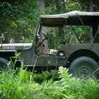 Willys in the wood