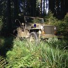 Willys-Jeep MB 1944