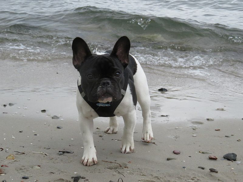 Wilma an der Ostsee