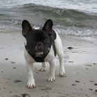 Wilma an der Ostsee