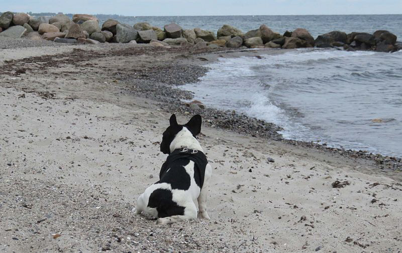 Wilma an der Ostsee II