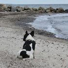 Wilma an der Ostsee II