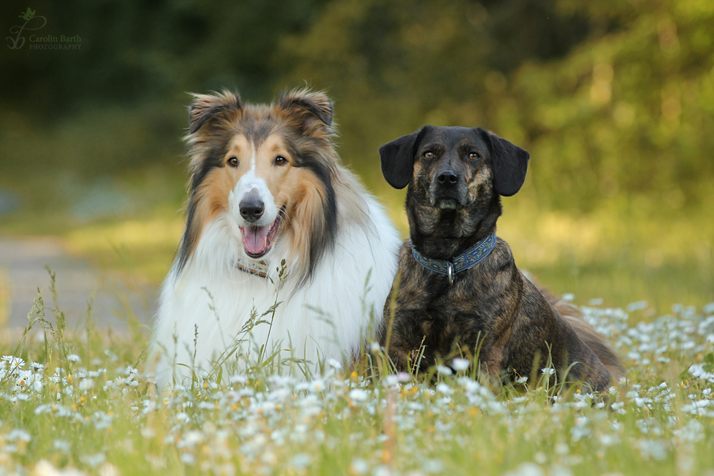 Wilma und Bakardi