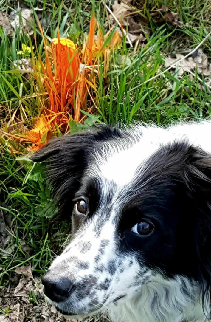 Wilma wollte unbedingt mit auf's Foto