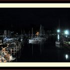 Wilmette Harbor bei Nacht