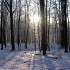 Wilnsdorf: a Winter - Wonder - Land