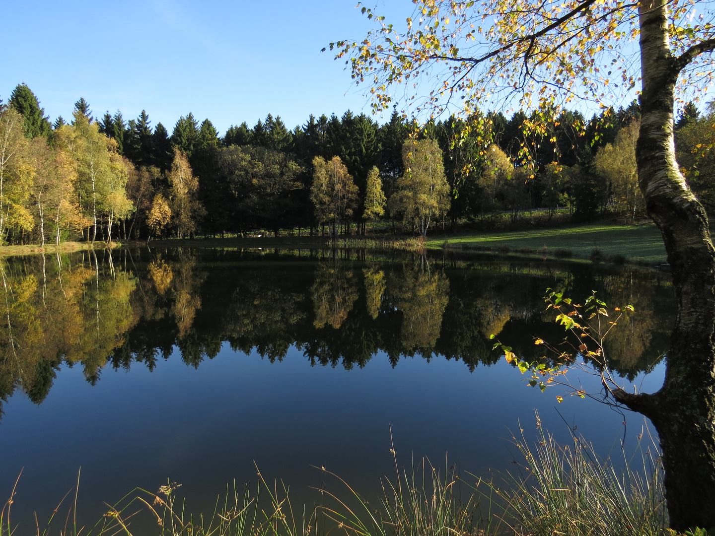 Wilnsdorfer Weiher