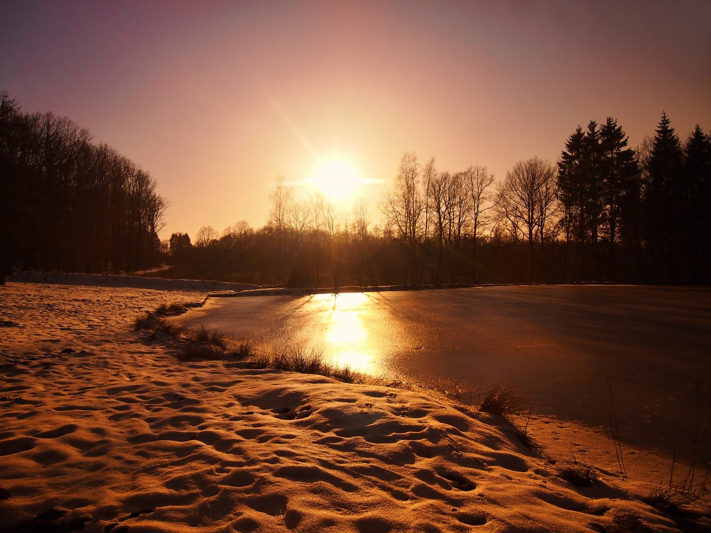 Wilnsdorfer Weiher