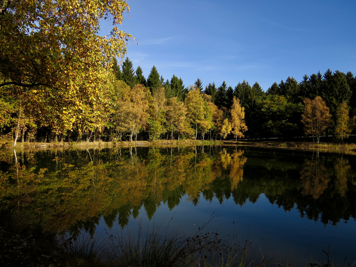 Wilnsdorfer Weiher