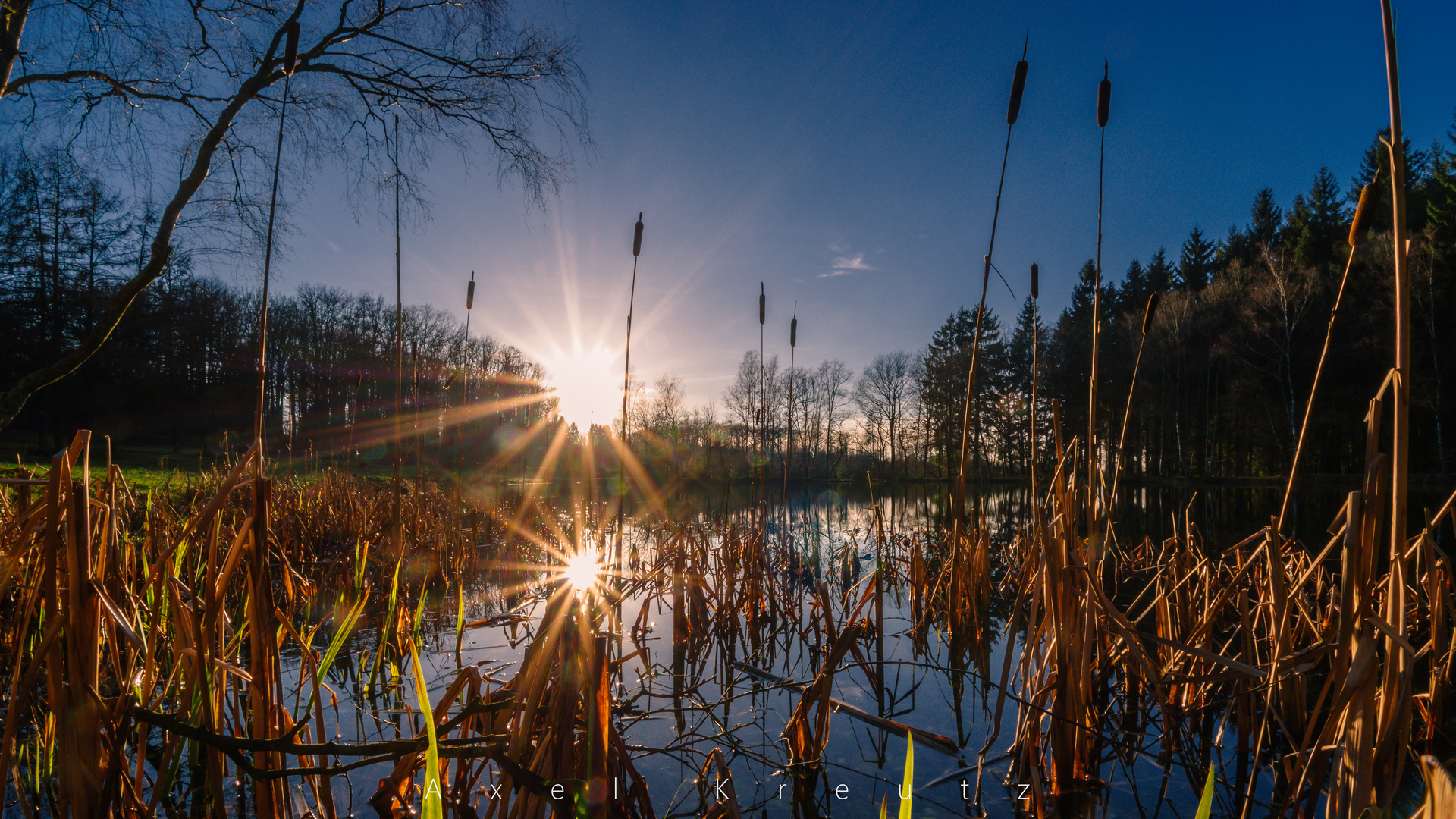 Wilnsdorfer Weiher