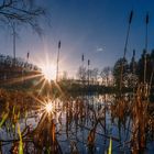 Wilnsdorfer Weiher