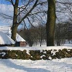 Wilsede (Lüneburger Heide) [Foto]