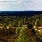 Wilseder Berg Erhebung in Bispingen, Niedersachsen