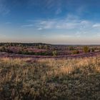 Wilseder Berg - Panoramablick