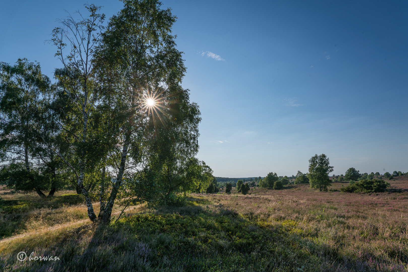 Wilseder Heide