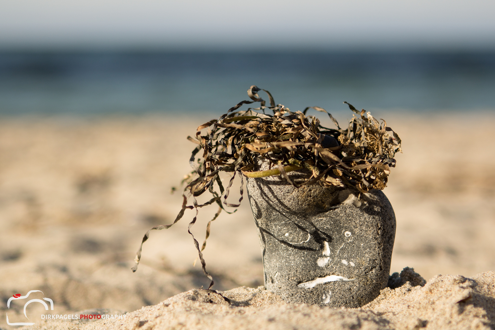 Wilson am Strand