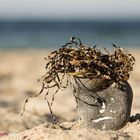 Wilson am Strand