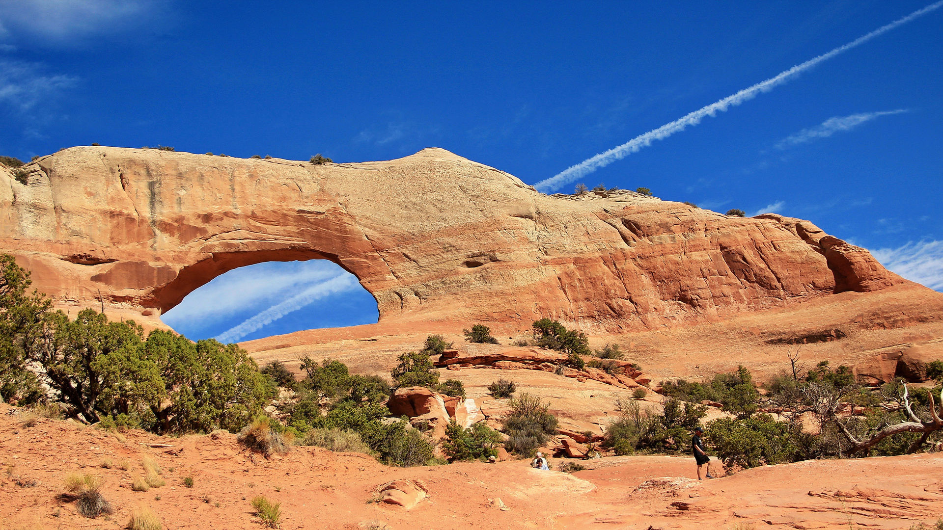 Wilson Arch