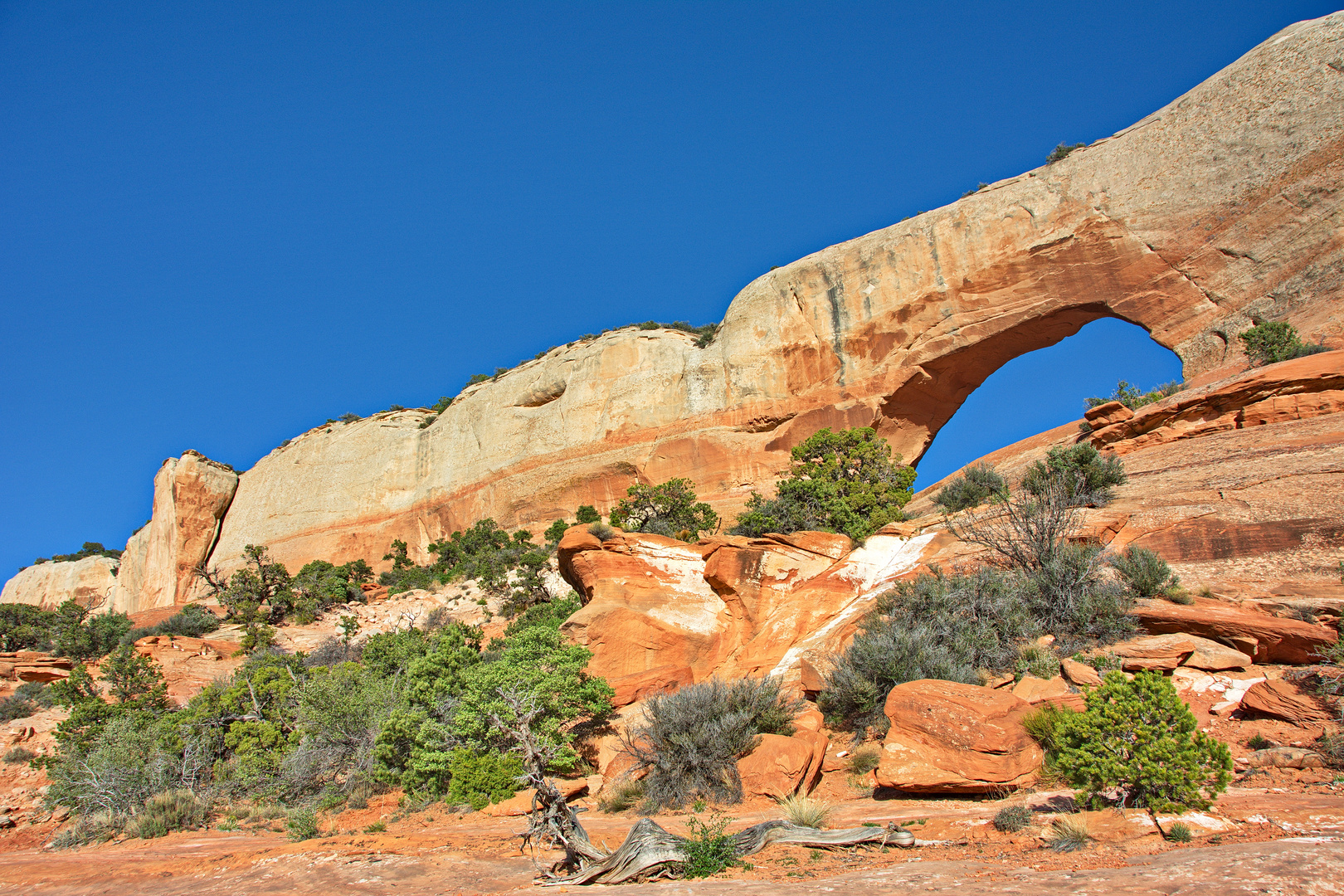 Wilson Arch