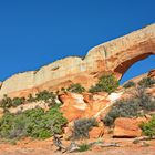 Wilson Arch