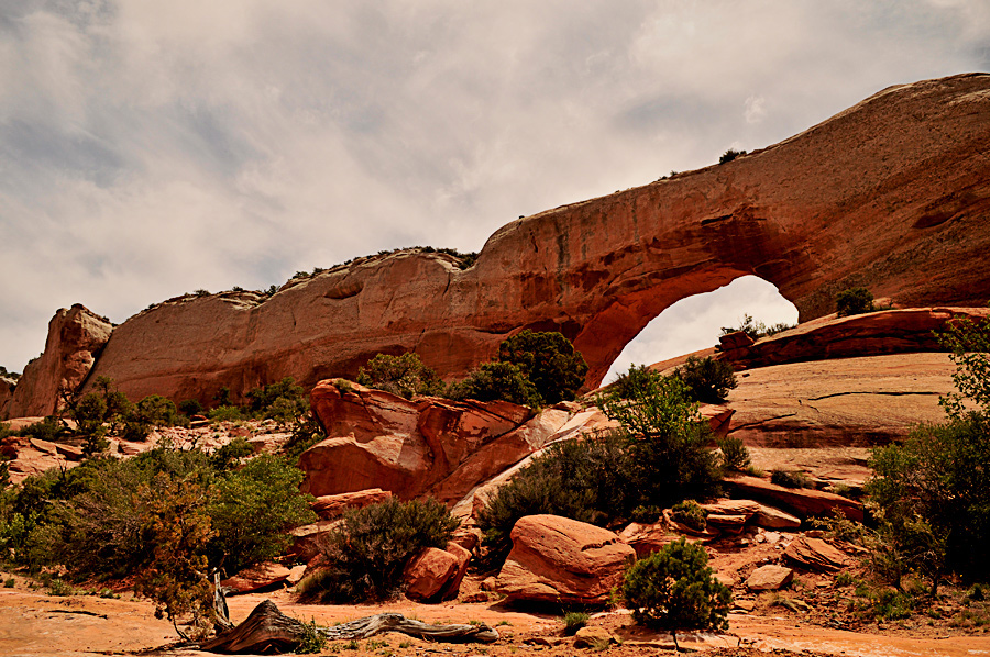 Wilson Arch