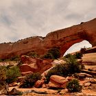 Wilson Arch