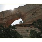 Wilson Arch