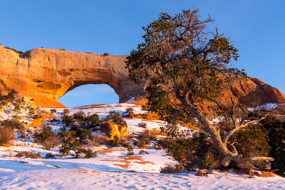 Wilson Arch